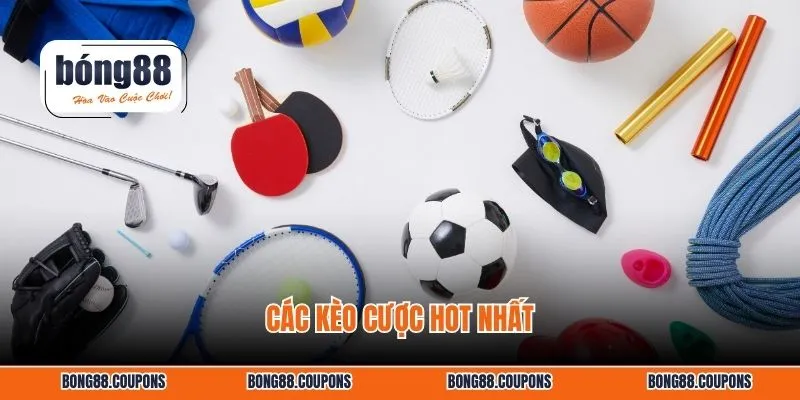 Các kèo cược hot nhất