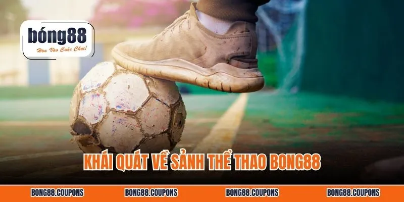 Khái quát về sảnh thể thao Bong88